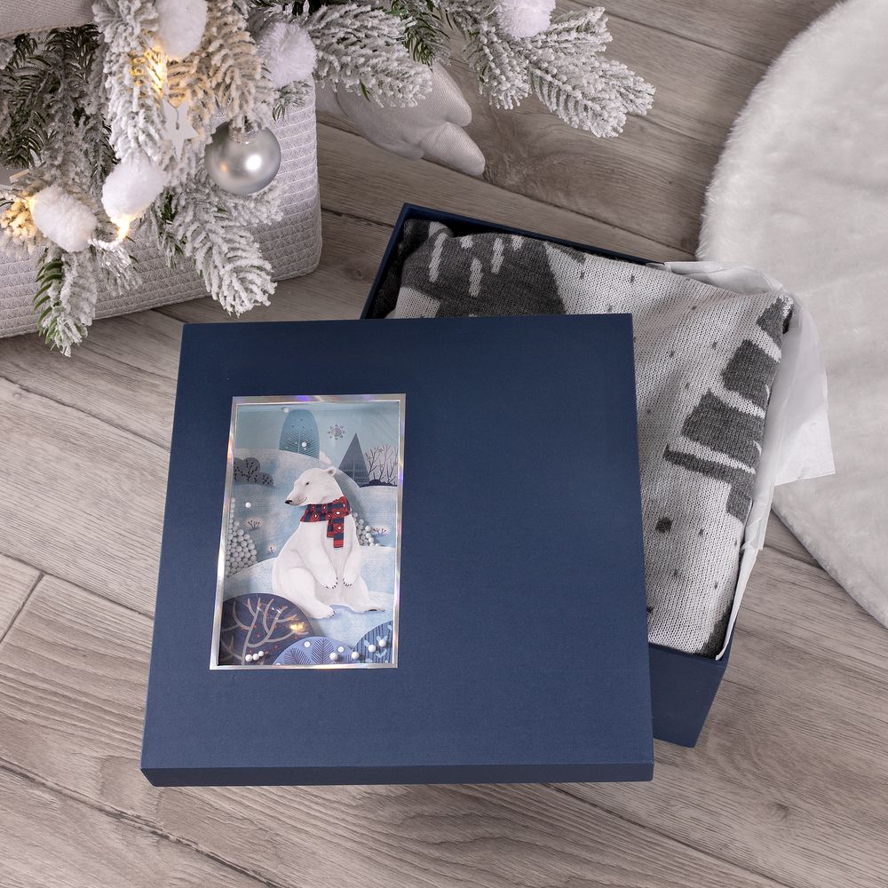 Коробка The Blue Bear (Изображение 2)