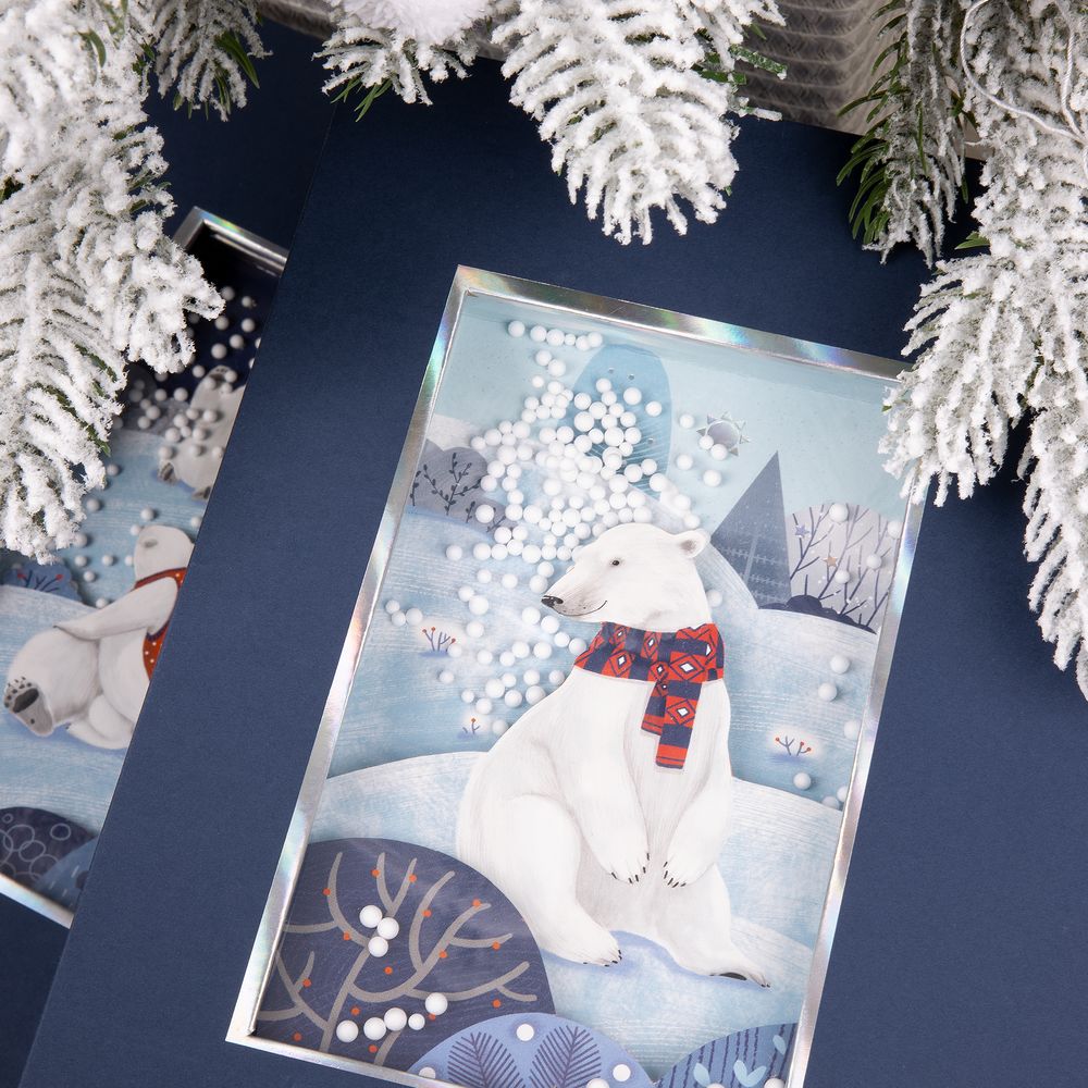 Коробка The Blue Bear (Изображение 4)