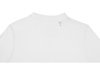 Рубашка поло Deimos мужская (белый) 5XL (Изображение 4)
