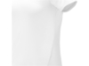 Рубашка поло Deimos женская (белый) 3XL (Изображение 5)