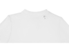 Рубашка поло Deimos женская (белый) 2XL (Изображение 4)