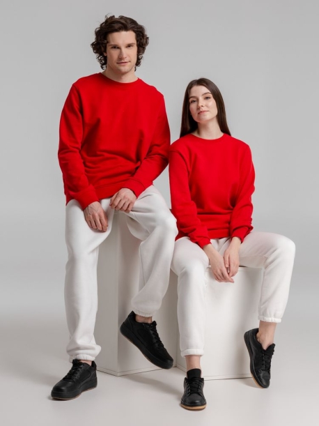 Свитшот унисекс BNC Organic, красный, размер XXL (Изображение 13)
