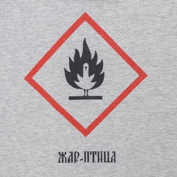 Футболка «Жар-птица», серый меланж, размер S (Изображение 3)