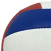 Волейбольный мяч Match Point, триколор (Изображение 2)