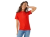 Рубашка поло Boston 2.0 женская (красный) L (Изображение 2)