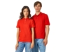 Рубашка поло Boston 2.0 женская (красный) L (Изображение 4)