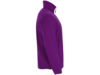 Куртка флисовая Artic мужская (фиолетовый) M (Изображение 4)