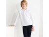 Рубашка поло Carpe детская с длинным рукавом (белый) 11-12 (Изображение 5)