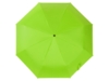 Зонт-автомат Dual с двухцветным куполом (зеленое яблоко/черный)  (Изображение 4)
