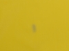 Дождевик со светоотражающей тесьмой Lanai (желтый) M-L (Изображение 14)