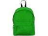 Рюкзак TUCAN (зеленый)  (Изображение 1)