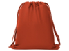 Рюкзак спортивный ZORZAL (красный)  (Изображение 1)