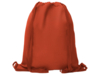 Рюкзак спортивный ZORZAL (красный)  (Изображение 2)