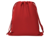 Рюкзак спортивный ZORZAL (красный)  (Изображение 5)