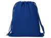 Рюкзак спортивный ZORZAL (синий)  (Изображение 1)