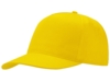 Бейсболка Poly 5-ти панельная 120 гр (Изображение 1)
