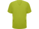 Рубашка Ferox, мужская (фисташковый) XL