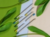 Набор Растущий карандаш mini, 2 шт. с семенами базилика и мяты (белый/светло-серый/желтый)  (Изображение 6)