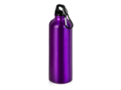 Бутылка Hip M с карабином, 770 мл (пурпурный) 