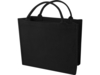 Эко-сумка Page, 500 г/м2 (черный)  (Изображение 1)