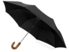 Зонт складной Cary (черный)  (Изображение 1)