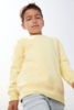 Свитшот детский Columbia Kids, серый меланж, на рост 106-116 (Изображение 5)