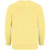 Свитшот детский Columbia Kids, светло-желтый, на рост 96-104 (Изображение 3)