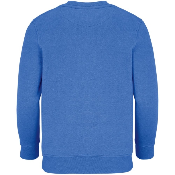 Свитшот детский Columbia Kids, ярко-синий (royal), на рост96-104 (Изображение 3)