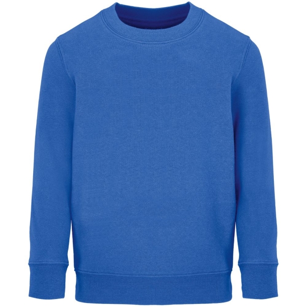 Свитшот детский Columbia Kids, ярко-синий (royal), на рост118-128 (Изображение 1)