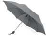 Зонт складной Irvine, полуавтоматический, 3 сложения, с чехлом, серый (Изображение 1)