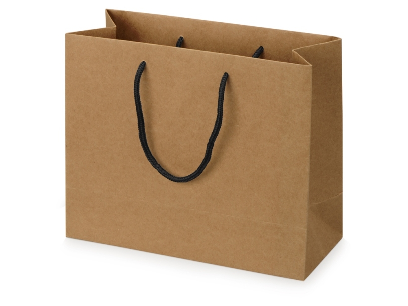 Пакет подарочный Kraft M, 30x25x12 см (Изображение 1)