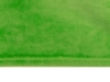 Плед флисовый Copy, зеленый (Изображение 5)