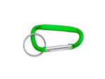 Брелок-карабин для ключей PALE (зеленый) 