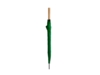 Зонт-трость FARGO, полуавтомат (зеленый)  (Изображение 1)