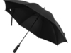 Зонт-трость Niel из из RPET (черный)  (Изображение 1)