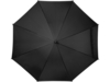 Зонт-трость Niel из из RPET (черный)  (Изображение 2)