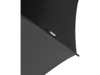 Зонт-трость Niel из из RPET (черный)  (Изображение 6)