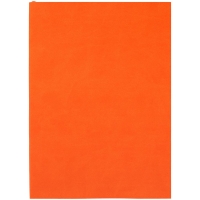 Ежедневник Flat Light, недатированный, оранжевый