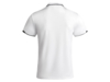 Рубашка-поло Tamil мужская (белый/черный) L (Изображение 2)