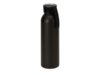 Бутылка для воды Joli, 650 мл, черный (Р) (Изображение 1)
