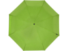 Зонт складной Birgit (лайм)  (Изображение 2)