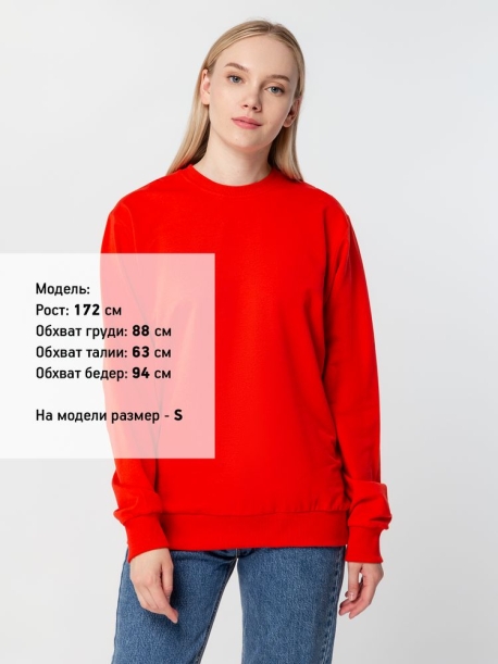 Свитшот Toima 2.0, красный, размер S (Изображение 6)