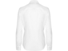 Рубашка Moscu, женская (белый) 2XL (Изображение 2)
