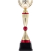Кубок Awardee, большой, красный (Изображение 1)