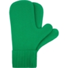 Варежки Yong, зеленые, размер L/XL (Изображение 1)