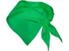 Шейный платок FESTERO треугольной формы (ярко-зеленый)  (Изображение 2)