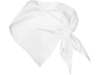 Шейный платок FESTERO треугольной формы (белый)  (Изображение 2)