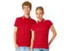 Рубашка поло Erie мужская (красный) M (Изображение 5)