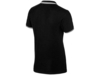 Рубашка поло Erie мужская (черный) XL (Изображение 7)