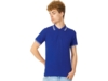 Рубашка поло Erie мужская (синий классический) XL (Изображение 1)